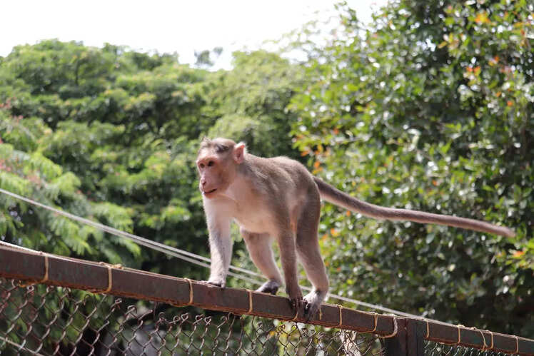 Assam State Zoo, Guwahati &ndash; INR 97.12 crore