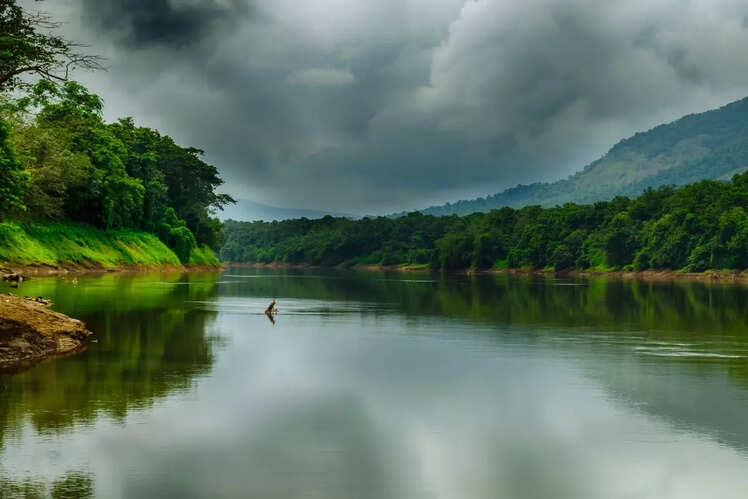 Thattekad Bird Sanctuary, Kerala