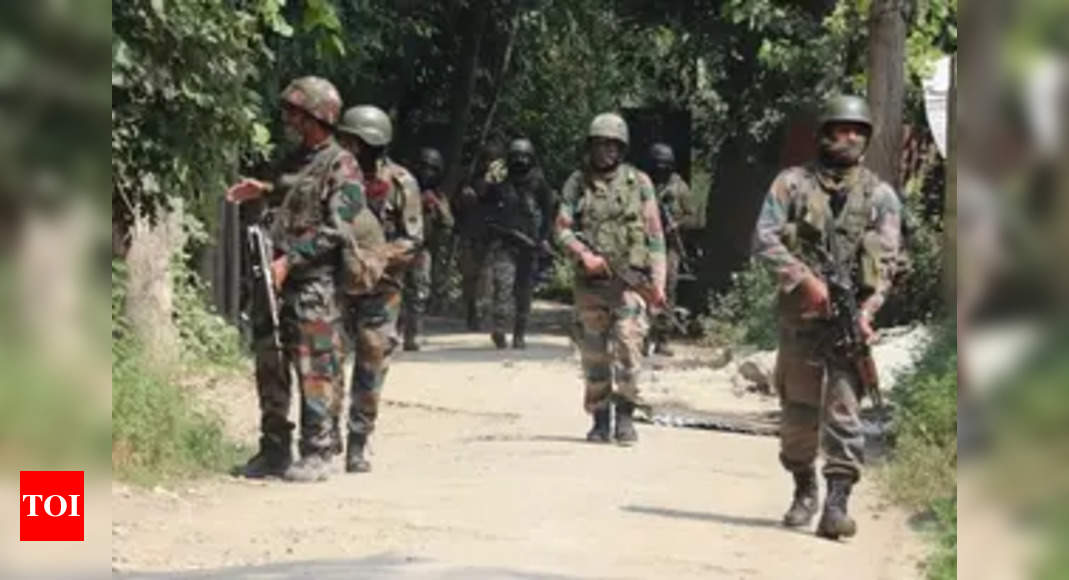 Jammu and Kashmir Terror Attack: Army Jawan Shot by Terrorists