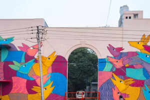 The street art trail: a colorful walk across India