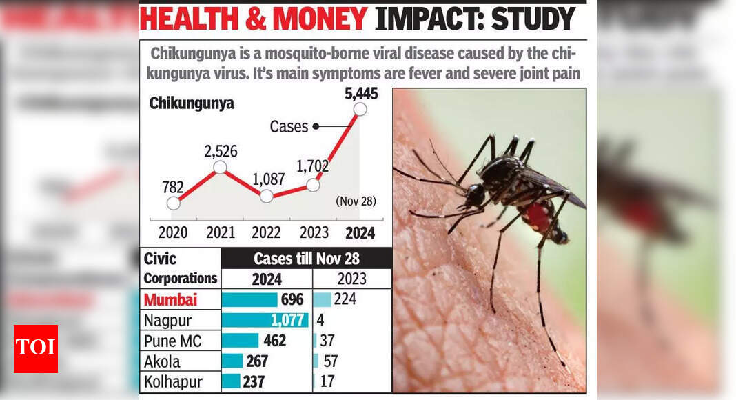 Chikungunya Cases Surge in Maharashtra: 3x Increase Raises Concerns ...
