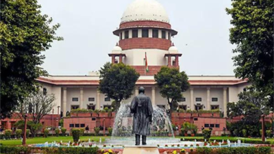 CBI will probe case against BJP neta: SC