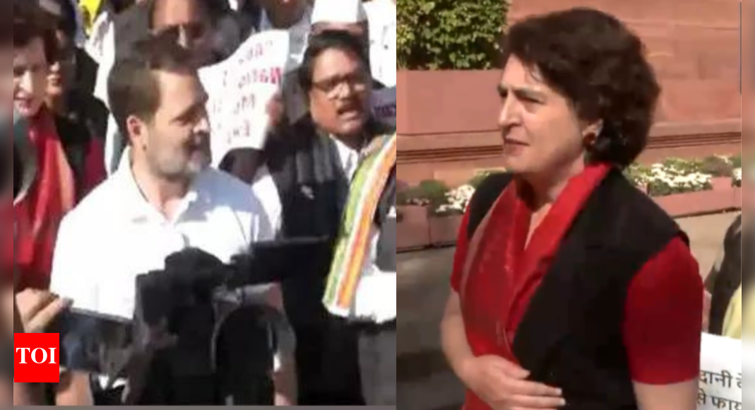 Watch: Opposition leaders including Rahul Gandhi, Priyanka protest outside Parliament over Adani issue | India News