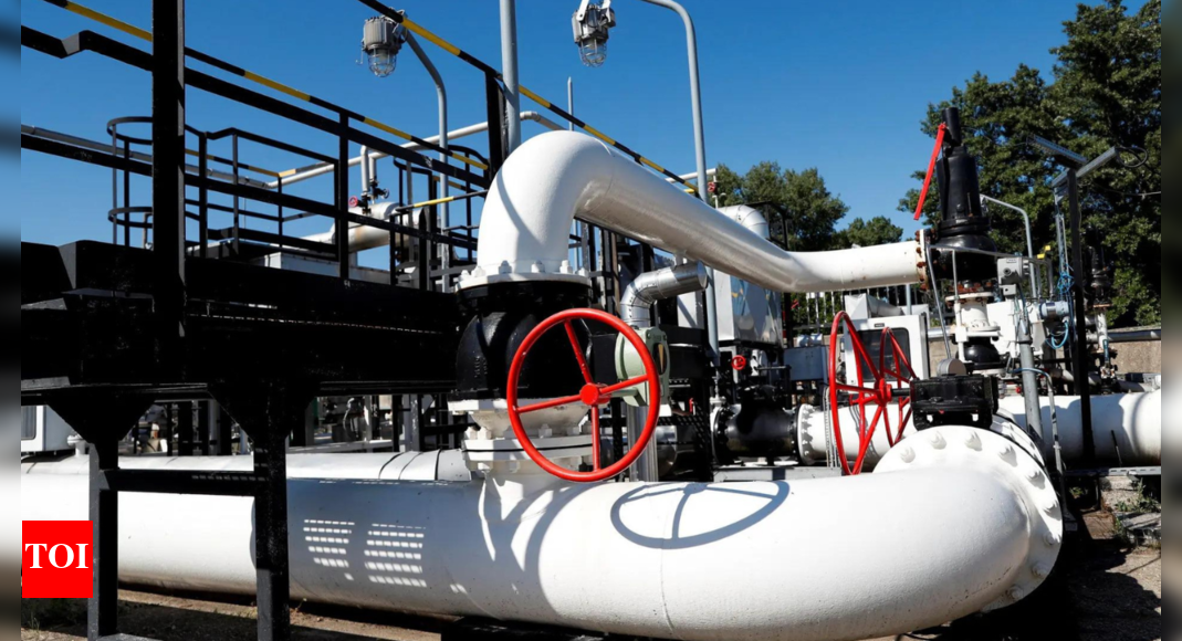 No Russian oil flowing through Druzhba pipeline to Czech Republic, Unipetrol says