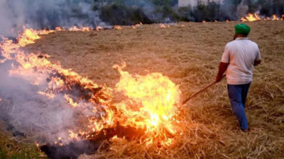 Punjab mopped up Rs 2 crore in farm fire penalties, Haryana Rs 21 lakh