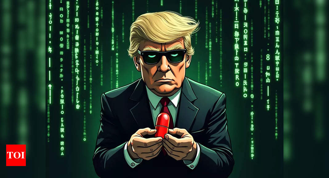 How ‘AI Czar’ David Sacks and tech bros helped Trump red-pill America | World News – Times of India