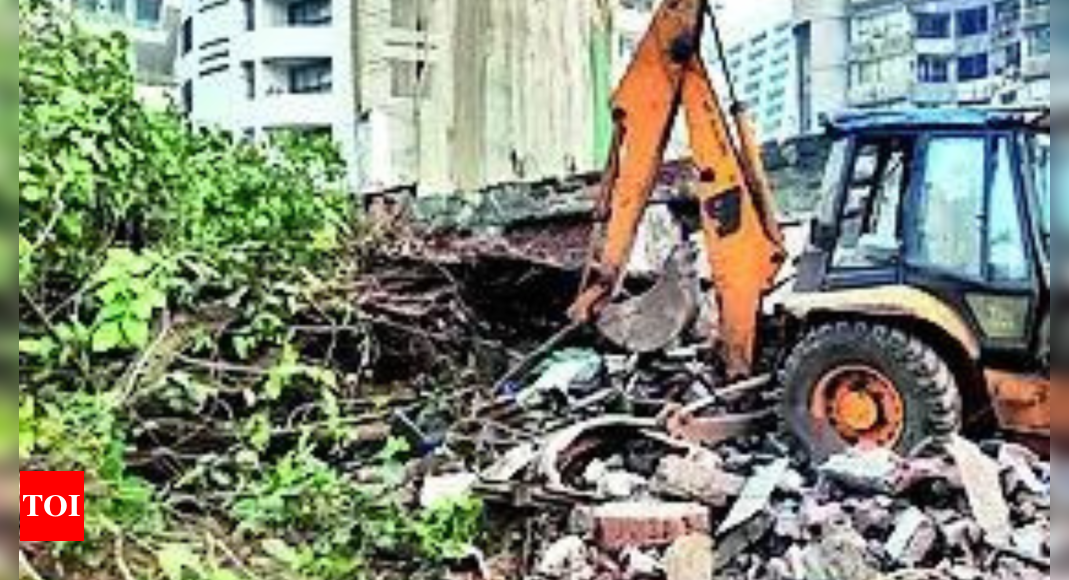 BMC staffer in Mumbai dies after electric pole falls during demolition drive