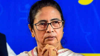 Rift in INDIA bloc? 'If they can’t run the show, what can I do?' asks Mamata Banerjee