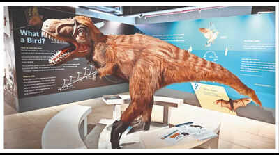 Dinosaurs are in Mumbai