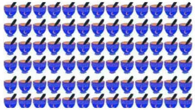 Optical illusion: Only a genius with a high IQ can spot the odd bowl in this tricky brainteaser