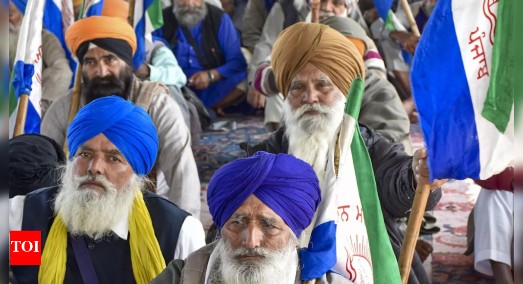 Punjab-Haryana border clash leaves three farmers hospitalized