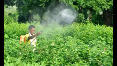 ‘1/3rd of registered pesticides in India hazardous’