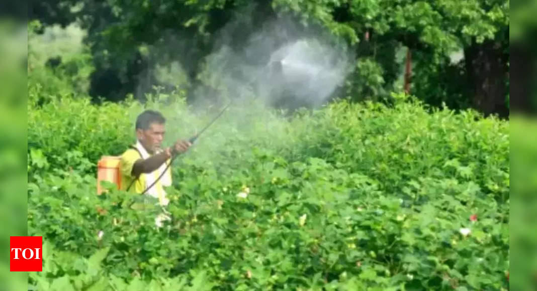 One-Third of Pesticides in India Classified as Highly Hazardous, Experts Warn | Hyderabad News – Times of India