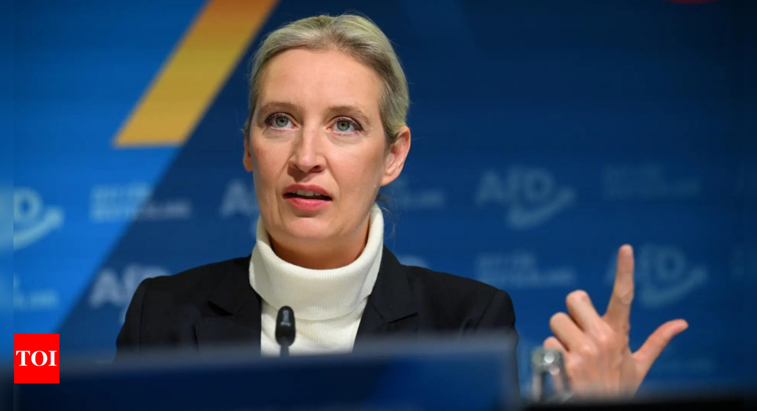 German far-right AfD leader is Chinese-speaking lesbian economist – Times of India