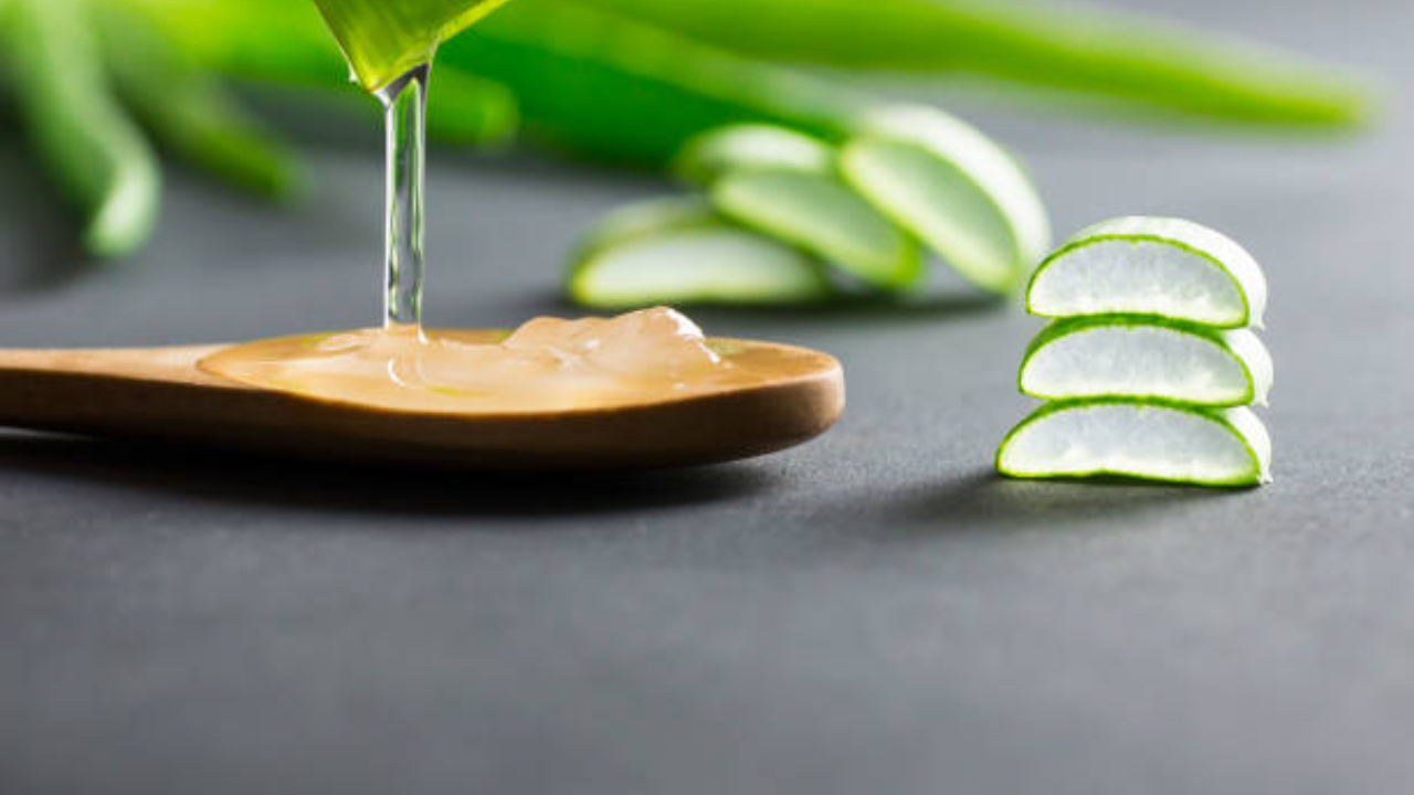 Aloe vera benefits: How to eat aloe vera in the right way | - The Times of  India