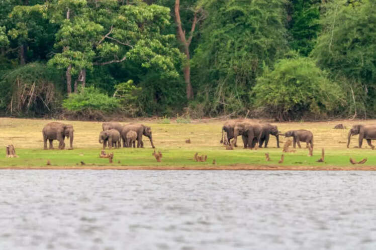 Ideal place for wildlife lovers