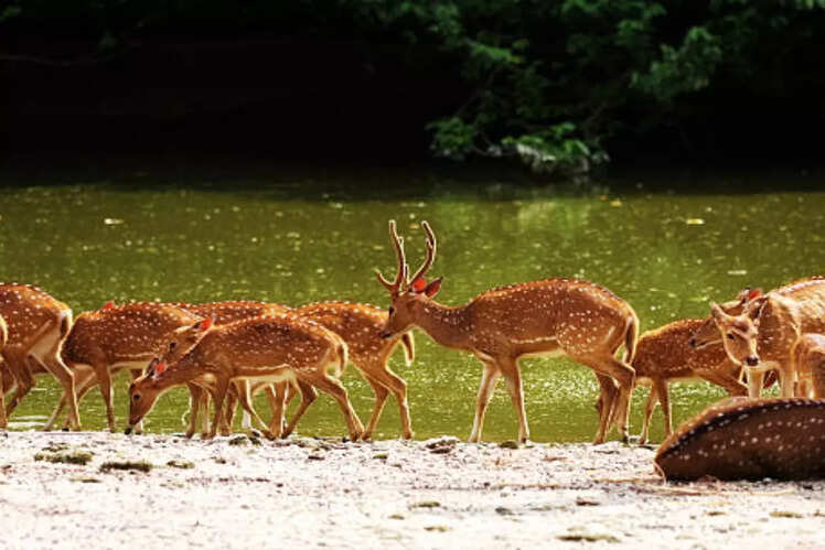 Ideal place for nature lovers
