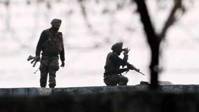 BSF soldiers kill Pakistani intruders at India-Pak border