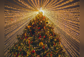 7 best destinations in India to celebrate Christmas in style