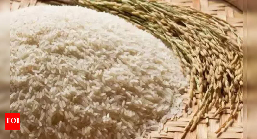 Over 480 Metric Tons of PDS Rice Seized in Major Smuggling Operation ...