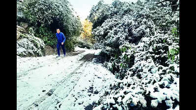 Snow and rain in Himachal: Electricity supply disrupted, 87 roads blocked