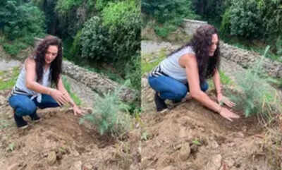 'Proud Himachali' Preity Zinta talks about giving back to 'mother nature'