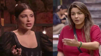 Bigg Boss 18: Wildcards Edin Rose and Yamini Malhotra plan to target the contestants with their alliance; the former says, 'Time to make them cry'