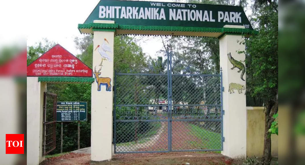 India Allocates Rs Crore For Bhitarkanika National Park Conservation