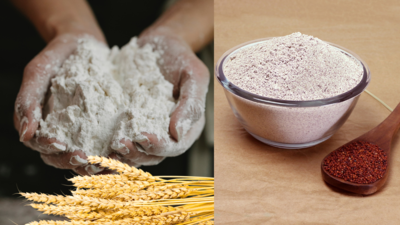 Wheat flour or Ragi flour: Which one is healthier?