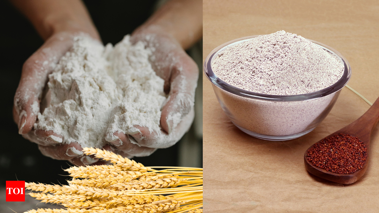 Wheat or Ragi flour Which one is healthier     Times of India