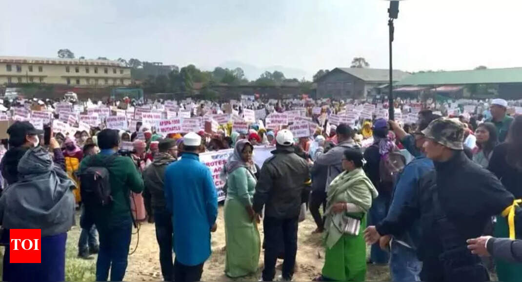Mass Protest in Manipur Calls for Repeal of AFSPA on Human Rights Day ...