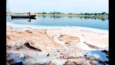 Faecal coliform count at 79L units, Yamuna hits record pollution in Nov in four years