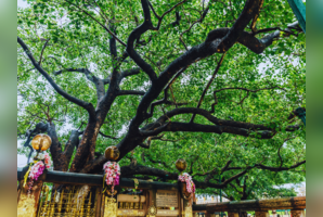 9 lesser-known destinations to explore in Bihar