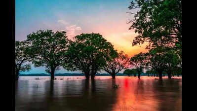 Assam Univ initiative for rural tourism centred on wetlands