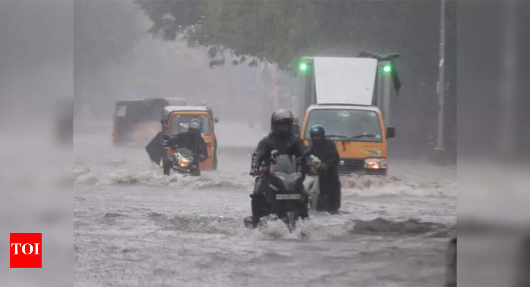 Tamil Nadu Weather: Chennai schools close due to heavy rain, check details here