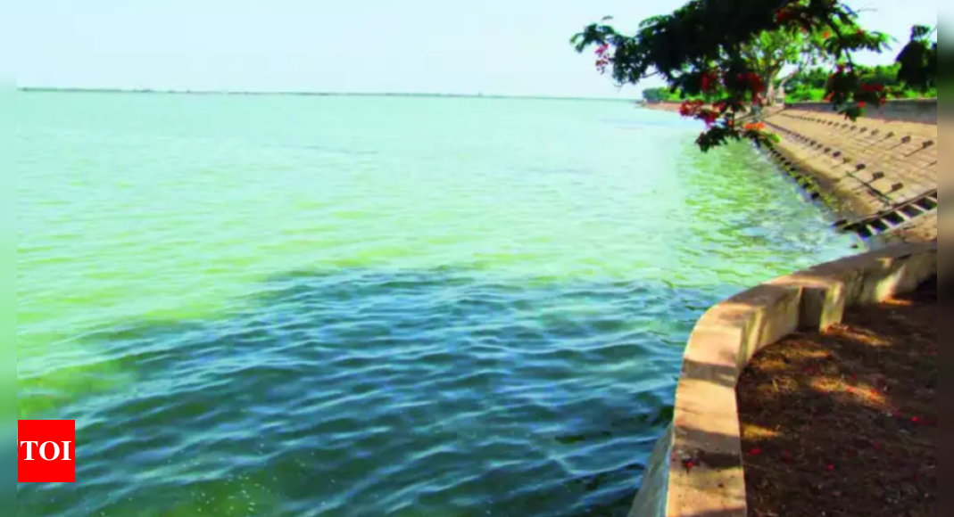 Tamil Nadu's irrigation tanks brim after monsoon rains.