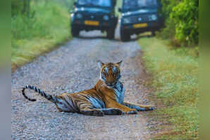 10 stunning photos from Jim Corbett National Park you need to see right now
