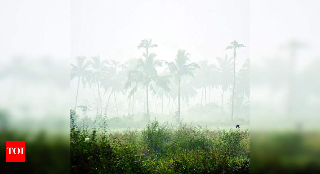 Min temp drops by 2 degrees, max likely to be around 34 degrees | Goa ...
