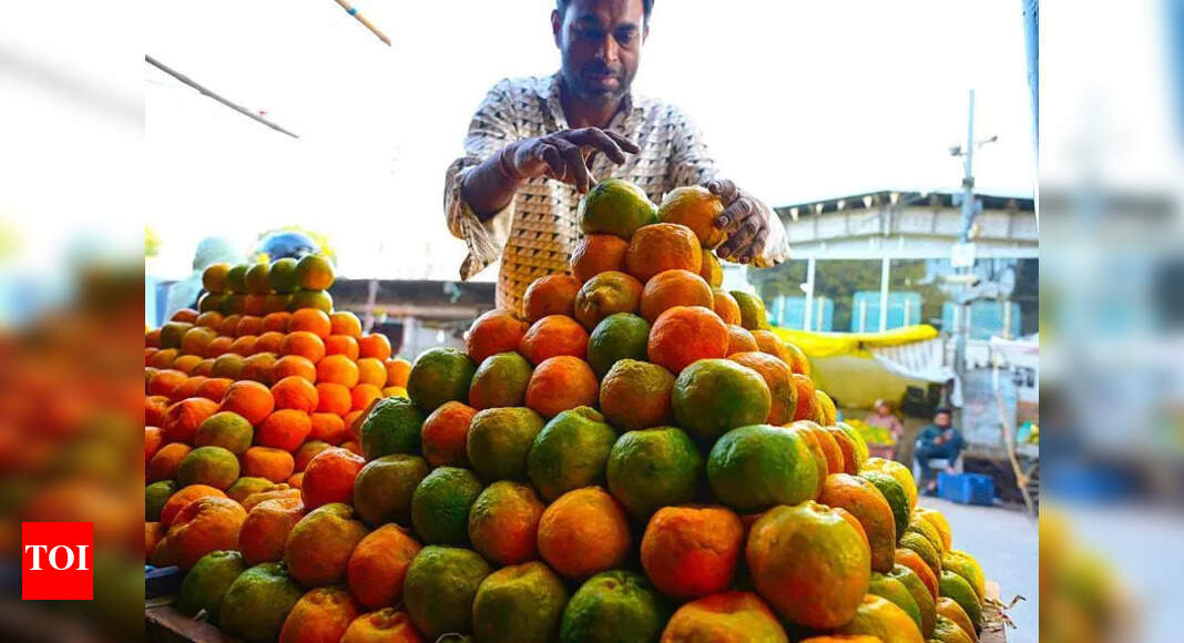 Vidarbha’s first export-oriented orange processing unit to open at ...