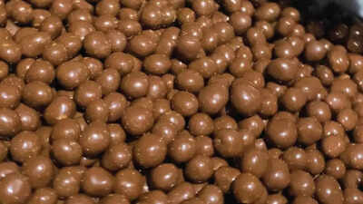 This Indian chocolate wins big at the International Chocolate Awards 2024