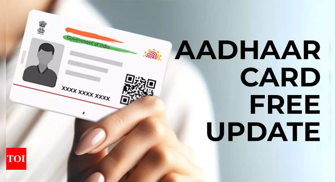 Aadhaar Card update for free: Deadline for free update ends on December 14, 2024 – how to update Aadhaar online – Times of India