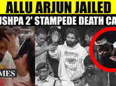 'Pushpa 2' Fan Death Case: Allu Arjun Sent To 14 Days Judicial Custody