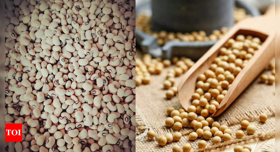 Lobia vs. Soybean: Which is better?