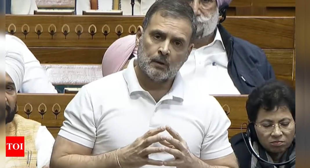 Rahul Gandhi's Lok Sabha gaffe amuses NDA MPs