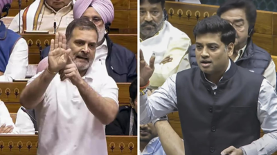 Rahul Gandhi vs Srikant Shinde: Lok Sabha turns into battleground over Congress leader's Savarkar remark