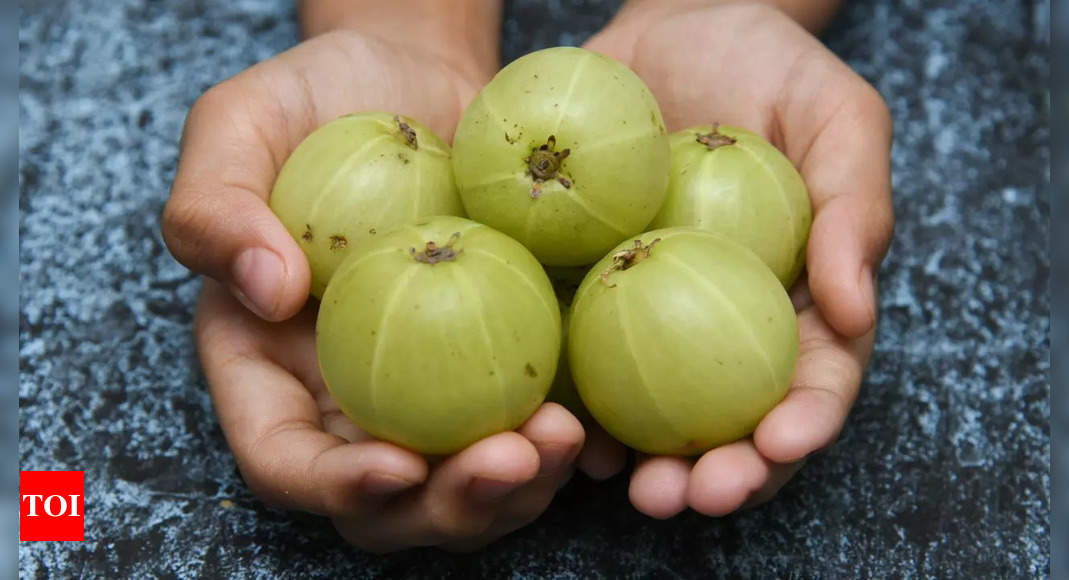 Boost Your Winter Immunity: 5 Delicious Amla Recipes |