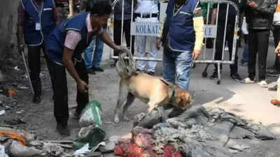 'उसने मुझे ब्लॉक कर दिया': बार-बार ठुकराए जाने के बाद, पश्चिम बंगाल में जीजा ने महिला की हत्या कर दी, शरीर को 3 हिस्सों में काट दिया