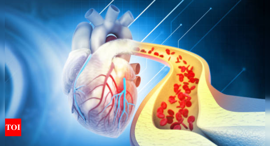 Why ldl cholesterol stage rises throughout winter season |