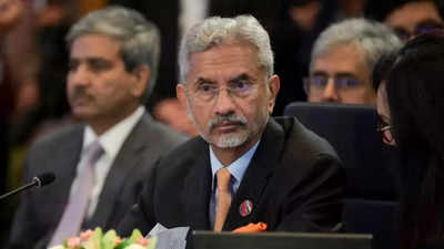 'We're trying to fix it abroad': What Jaishankar said about the 'Nehru development model'