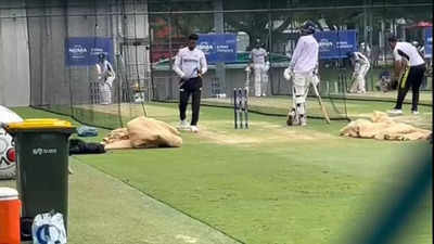 India vs Australia: When Daniel Vettori bowled to Sarfaraz Khan in the nets